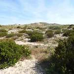 Peniche Blue Wave * Atouguia Da Baleia