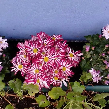 Maison d'hôtes Peniche Blue Wave Atouguia Da Baleia