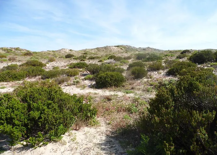 Peniche Blue Wave * Atouguia Da Baleia
