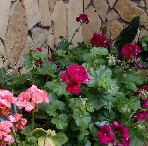 Peniche Blue Wave Maison d'hôtes