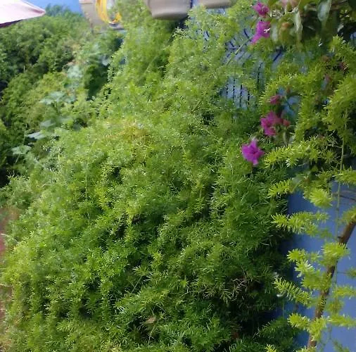 Peniche Blue Wave Atouguia Da Baleia