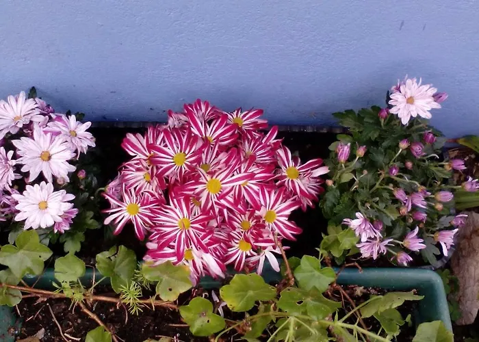Maison d'hôtes Peniche Blue Wave Atouguia Da Baleia