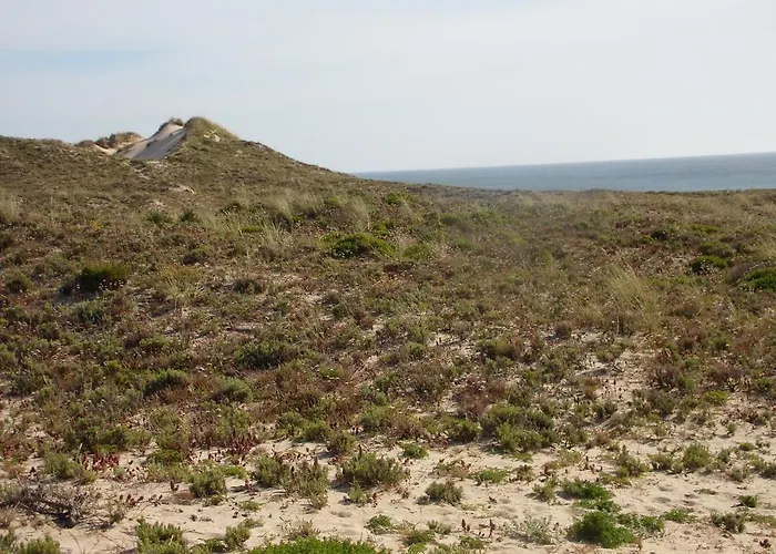 Peniche Blue Wave Vendégház Atouguia da Baleia